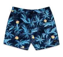 Бордшорты HURLEY CANNONBALL VOLLEY 17' OBSIDIAN