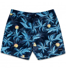 Бордшорты HURLEY CANNONBALL VOLLEY 17' OBSIDIAN