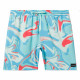 Бордшорты HURLEY CANNONBALL VOLLEY 17' TEAL