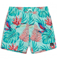 Бордшорты HURLEY CANNONBALL VOLLEY 17' TROPICAL
