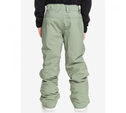 Детские горнолыжные штаны QUIKSILVER ESTATE YOUTH 2025 MULTI