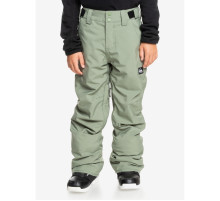 Детские горнолыжные штаны QUIKSILVER ESTATE YOUTH 2025 MULTI