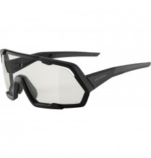 Очки солнцезащитные ALPINA Rocket V Black Matt/Varioflex