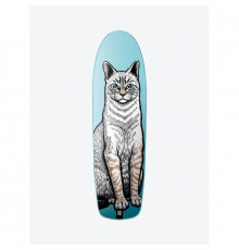 Дека PLAN B Cat 8.5″ 2024