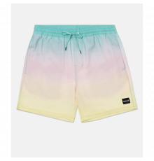 Бордшорты HURLEY CANNONBALL VOLLEY 17' FIJI