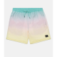 Бордшорты HURLEY CANNONBALL VOLLEY 17' FIJI
