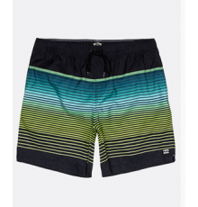 Бордшорты Billabong All Day