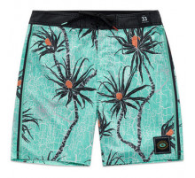 Бордшорты Rip Curl Mirage Solid Rock