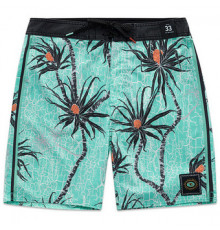 Бордшорты Rip Curl Mirage Solid Rock