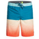 Бордшорты для серфинга Quiksilver Everyday Five 0 M Bdsh Brn6 Seaport 2023