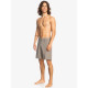 Бордшорты для серфинга Quiksilver Union Surfwash M Shor Tzc0 Fallen Rock 2023